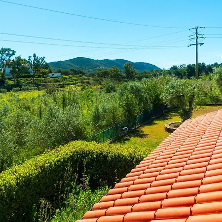 La Terrazza A Lacona - Ic Immobiliare * Capoliveri (Isola d'Elba)